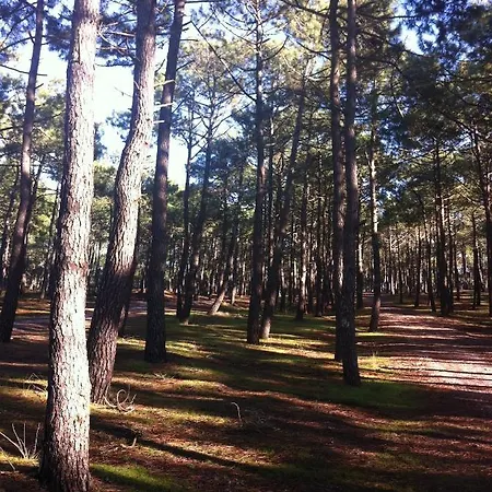 Entre Et Pins Penzion