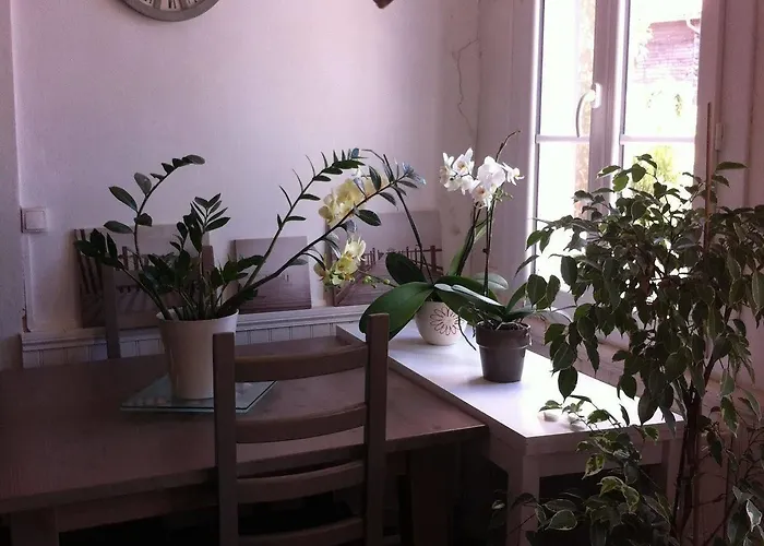 게스트하우스 Entre Et Pins 생-줄리앙-앙-보른